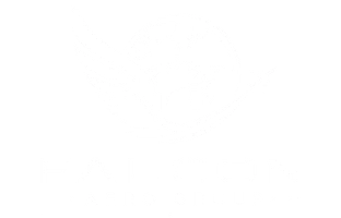 Falcon Aero Group